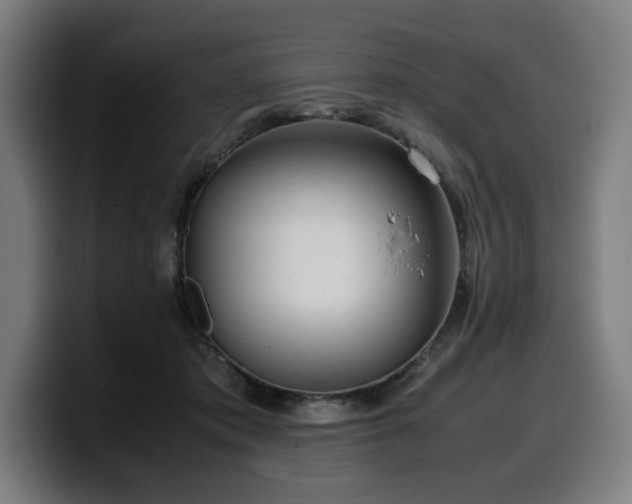 X0000099930413200805301202