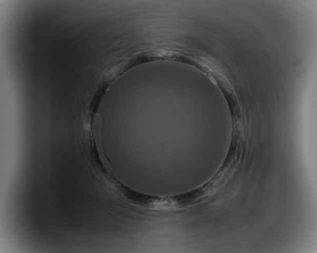 X0000099930415200805301202