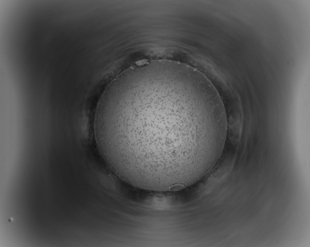 X0000099930416200805301202