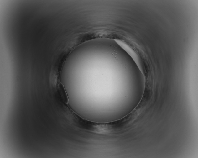 X0000099930417200805301201