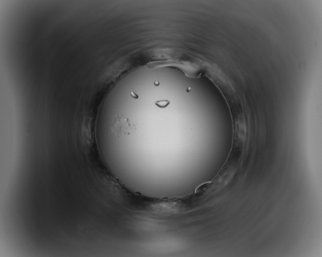 X0000099930422200805301201