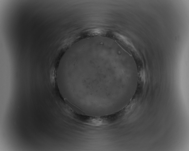 X0000099930423200805301201