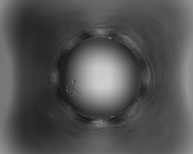 X0000099930425200805301201