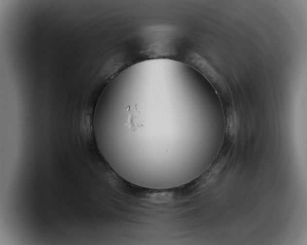 X0000099930426200805301201