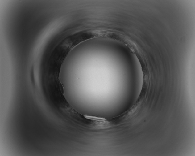 X0000099930429200805301201