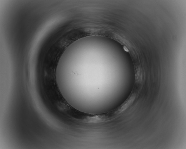 X0000099930430200805301201