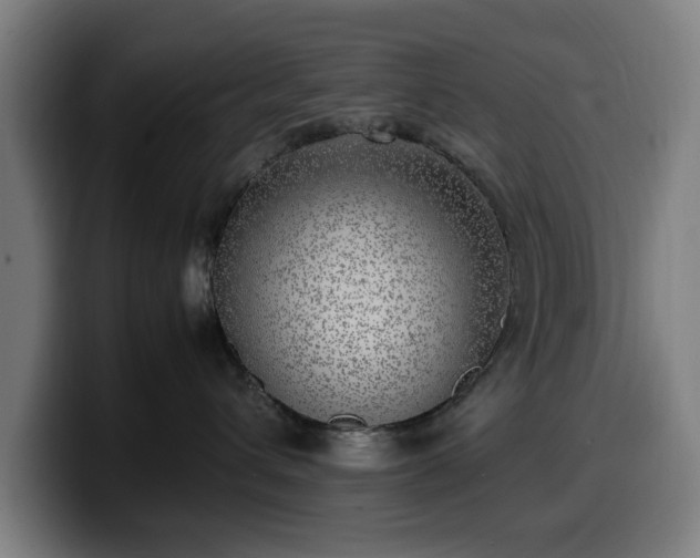 X0000099930432200805301201