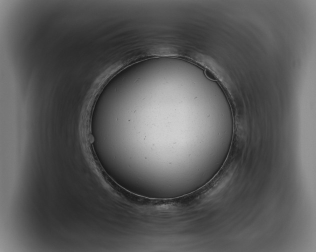 X0000099930433200805301201