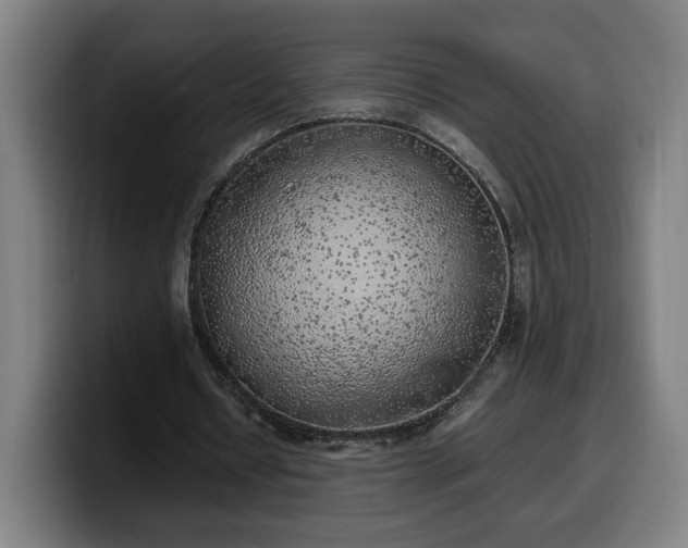 X0000099930434200805301201