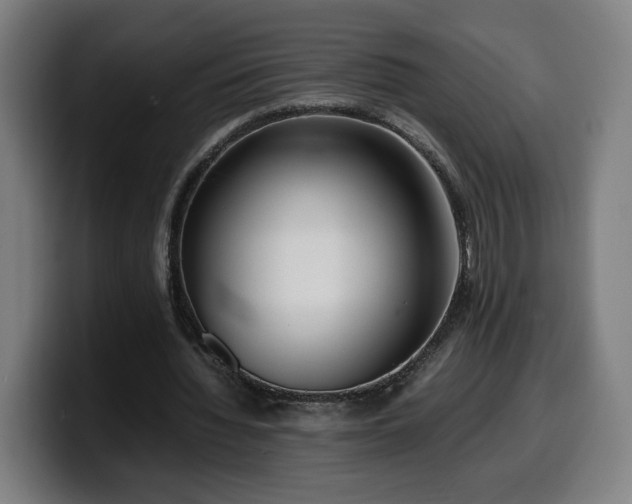 X0000099930436200805301201