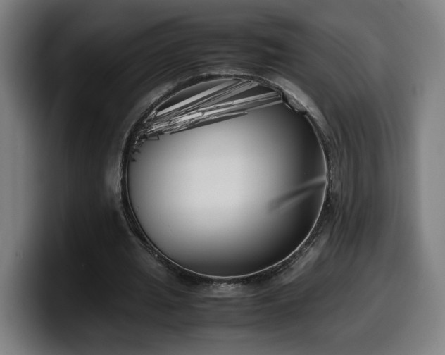 X0000099930437200805301201