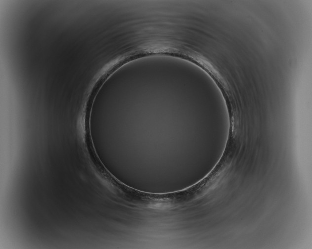 X0000099930438200805301201