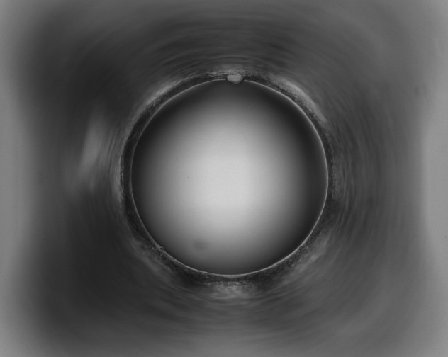 X0000099930439200805301201