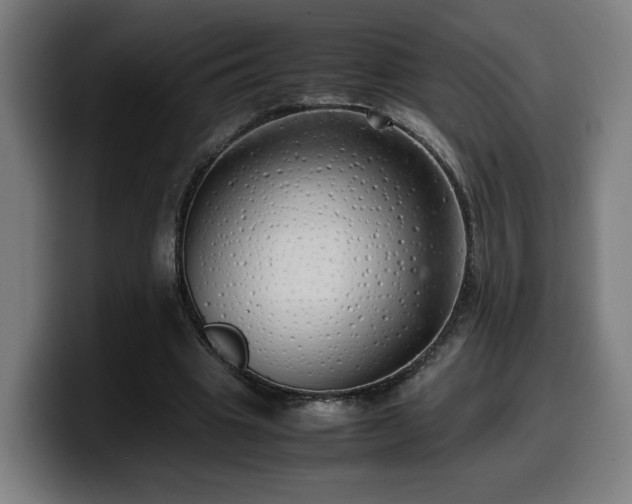 X0000099930441200805301201