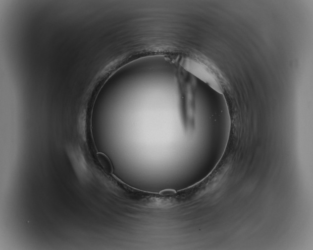 X0000099930442200805301201
