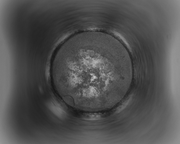 X0000099930443200805301201