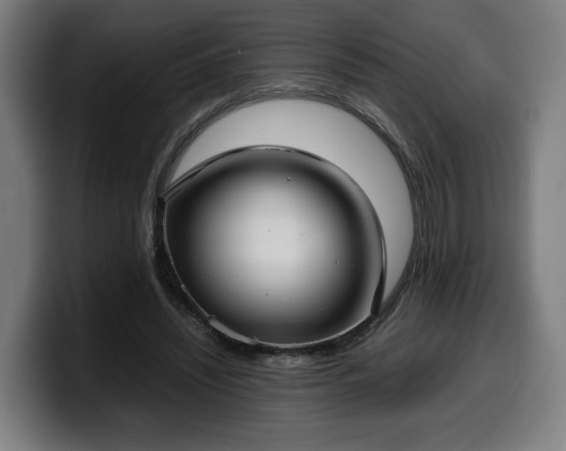 X0000099930444200805301201