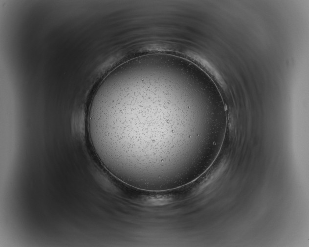 X0000099930445200805301201