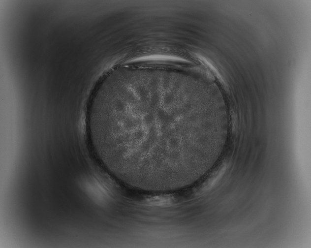 X0000099930447200805301201