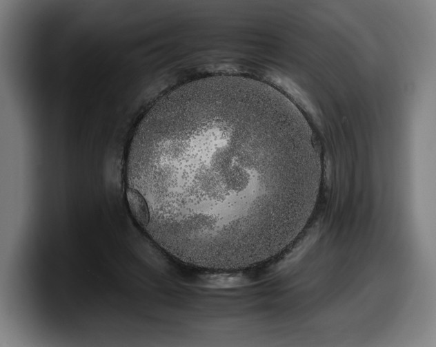 X0000099930449200805301201