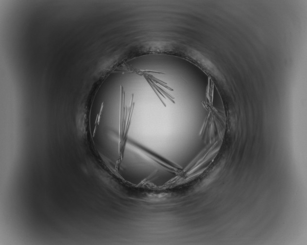 X0000099930450200805301201