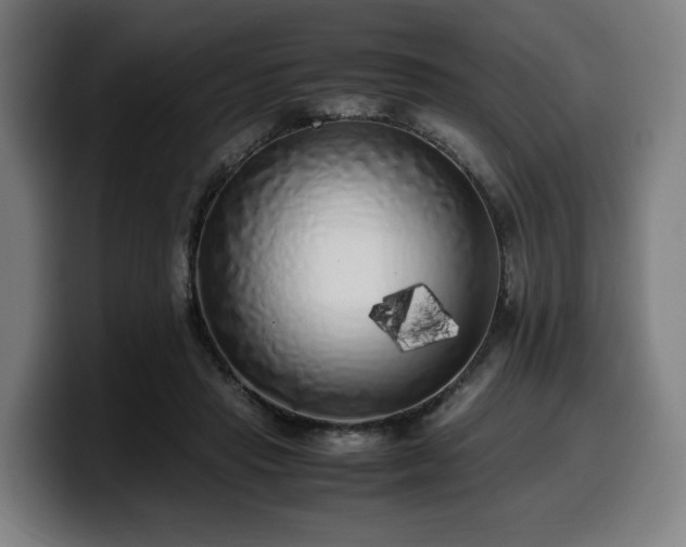 X0000099930453200805301201