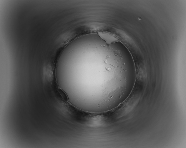 X0000099930456200805301201