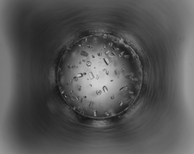 X0000099930457200805301201
