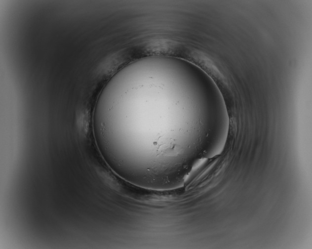 X0000099930458200805301201