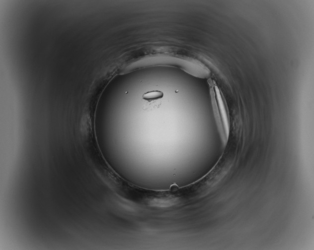 X0000099930459200805301201