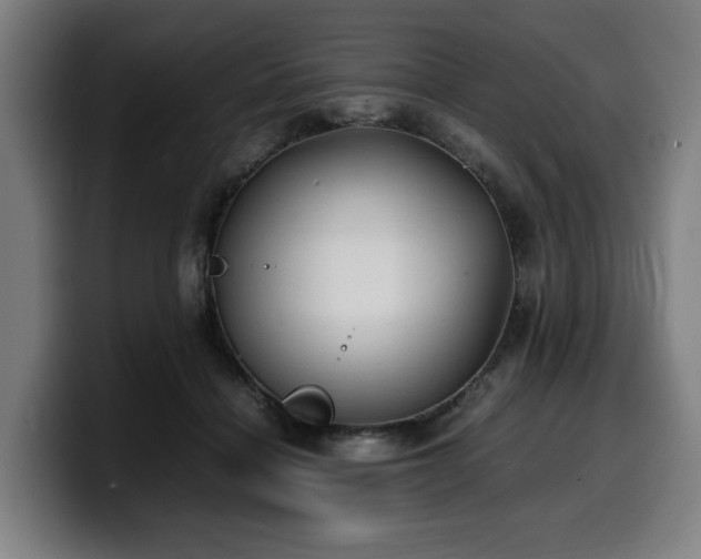 X0000099930460200805301201