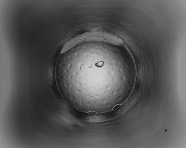 X0000099930461200805301201