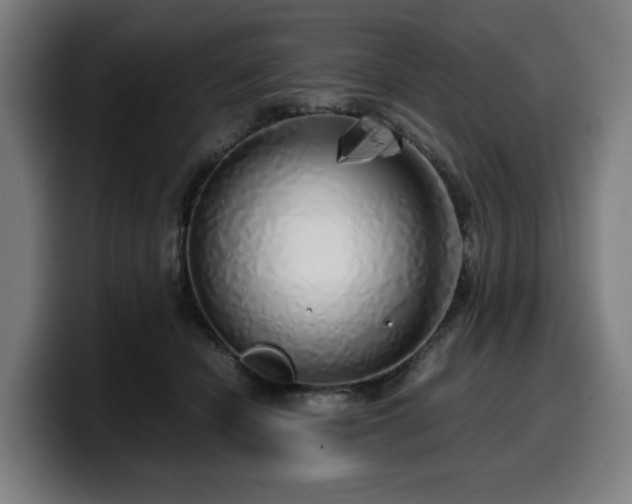X0000099930462200805301201