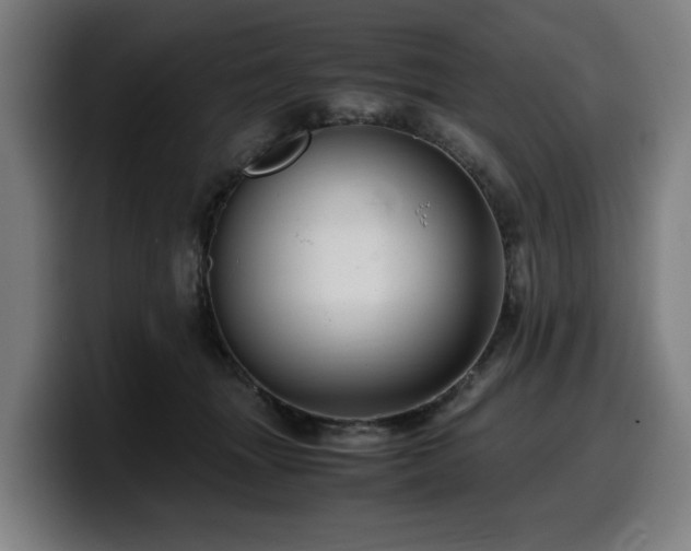 X0000099930463200805301201