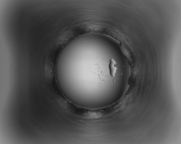 X0000099930464200805301201