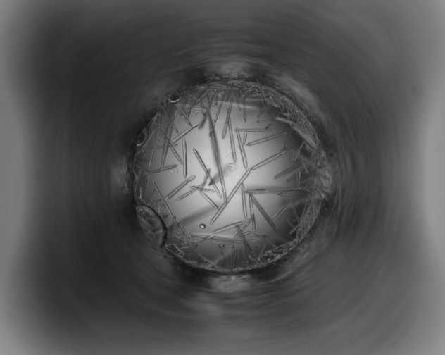 X0000099930465200805301201
