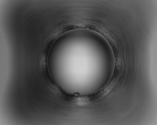 X0000099930466200805301201