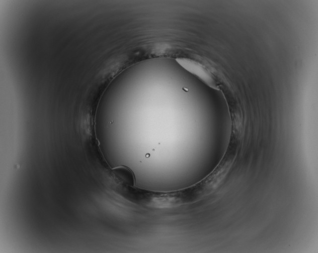 X0000099930470200805301201