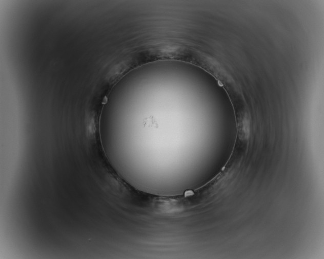 X0000099930472200805301201