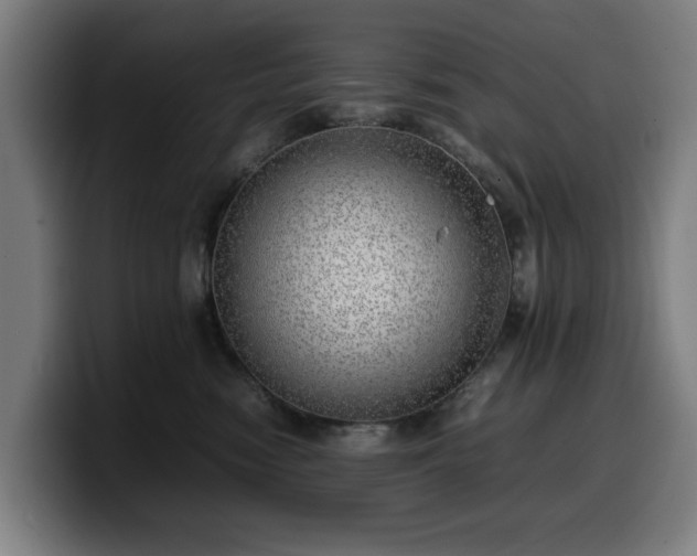 X0000099930474200805301201