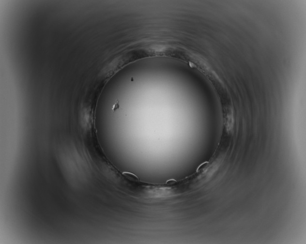 X0000099930476200805301201