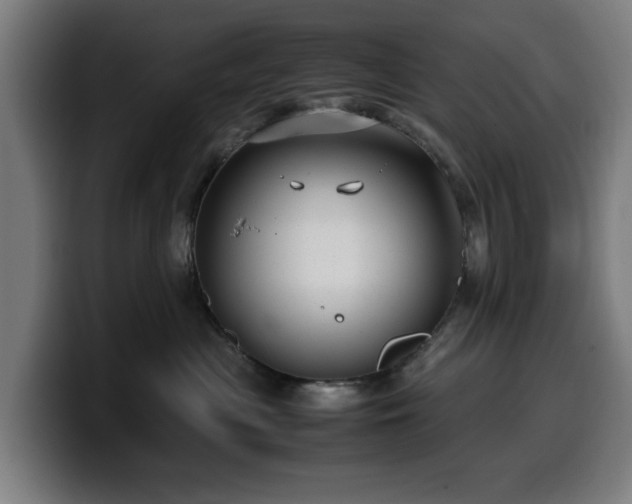 X0000099930477200805301201