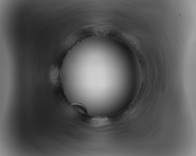 X0000099930480200805301201