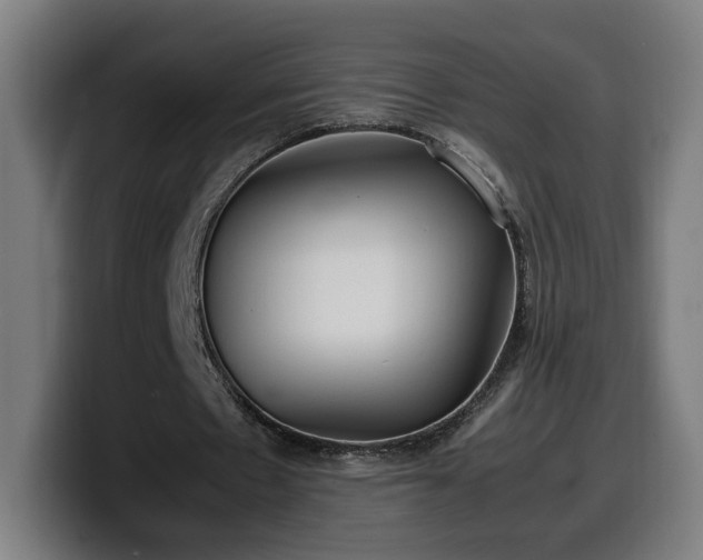 X0000099930481200805301201