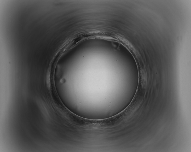 X0000099930482200805301201