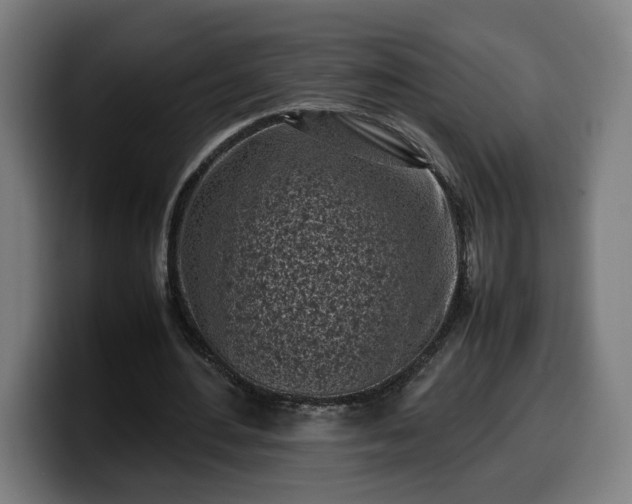 X0000099930484200805301201