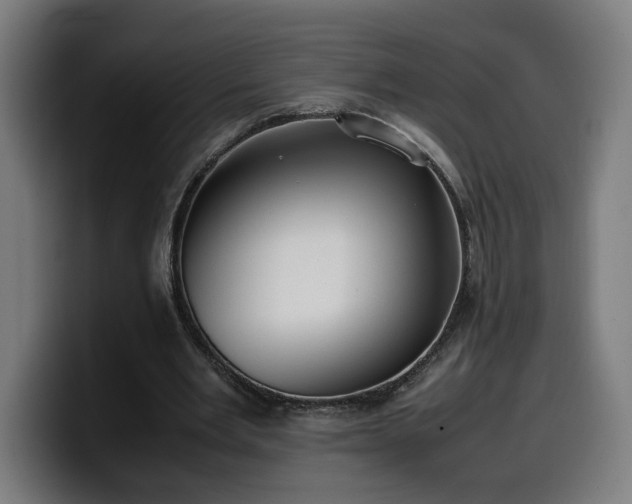 X0000099930485200805301201