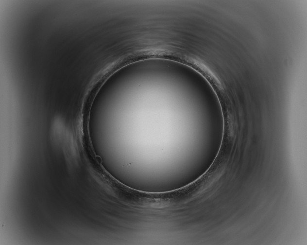 X0000099930486200805301201