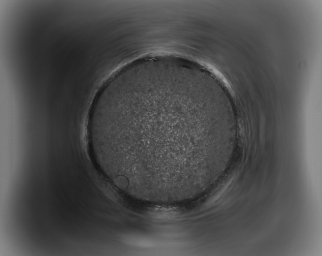 X0000099930487200805301201