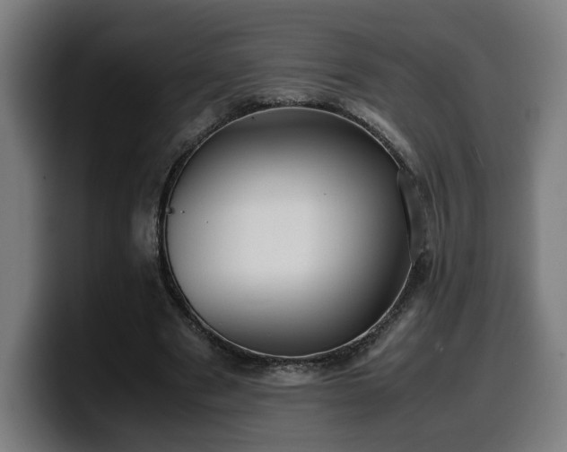 X0000099930489200805301201